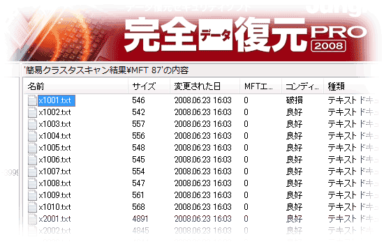 多くのtxtファイルを含むフォルダが復元された